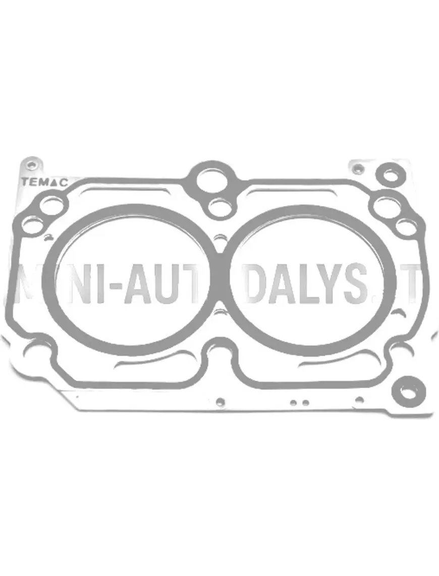 Cilindra galvas blīve Lombardini 502 Progress 2 robiņas / caurumi