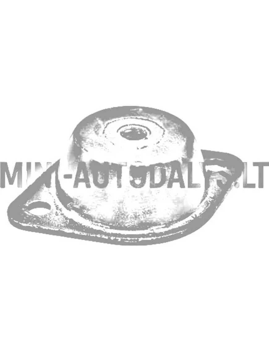 Ātrumkārbas atbalsta gumija Aixam