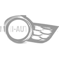 "Aixam" režģa miglas lukturis / dienas gaitas lukturis labajā pusē