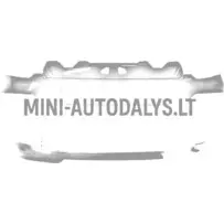 Priekšējais bamperis Ligier JS50/JS50L Sport Ph2/Ph3