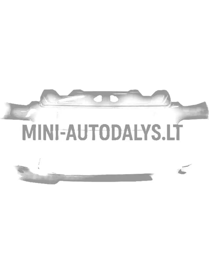 Priekšējais bamperis Ligier JS50/JS50L Sport Ph2/Ph3