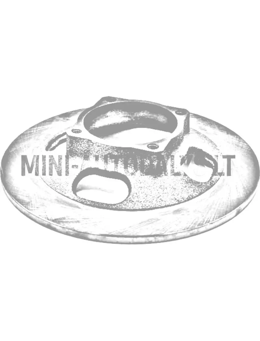 Priekšējais bremžu disks Aixam 2007-2010 / Grecav / Casalini (Ø 210 mm)