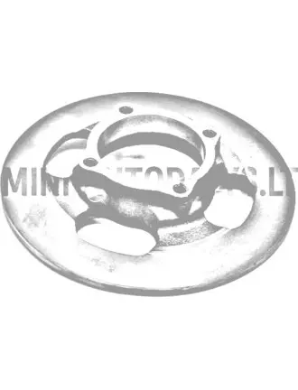 Priekšējais bremžu disks Microcar / JDM (Ø 210 mm)