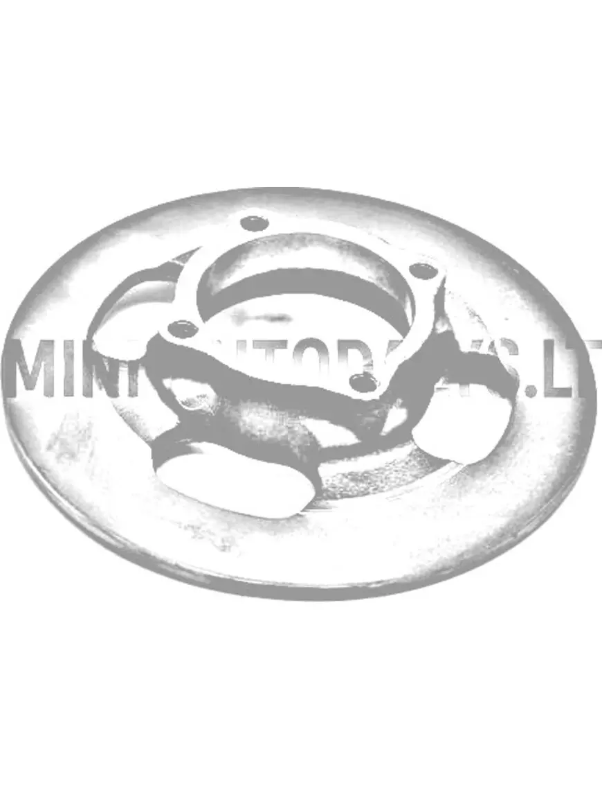 Priekšējais bremžu disks Microcar / JDM (Ø 210 mm)