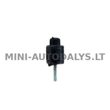 Radiatora gumijas Ligier / Microcar