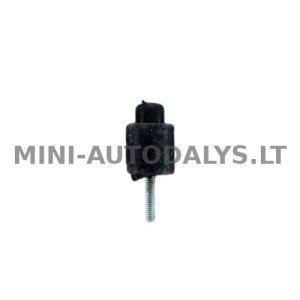 Radiatora gumijas Ligier / Microcar