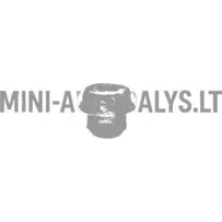 Radiatora gumijas atbalsts Ligier / Microcar / JDM / Bellier