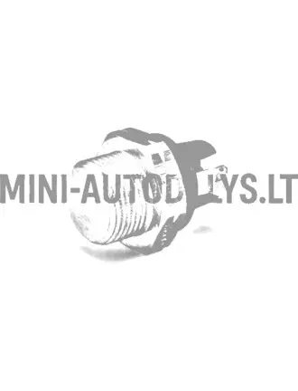 Radiatora temperatūras sensors Microcar / Ligier