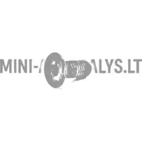 Riteņu rumbas stiprinājuma skrūve - bremžu disks Aixam / Grecav