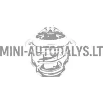 Termostats Aixam Kubota