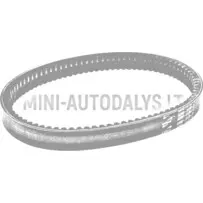 Pavaros siksna Aixam 3ARP023 AD52-2172-S