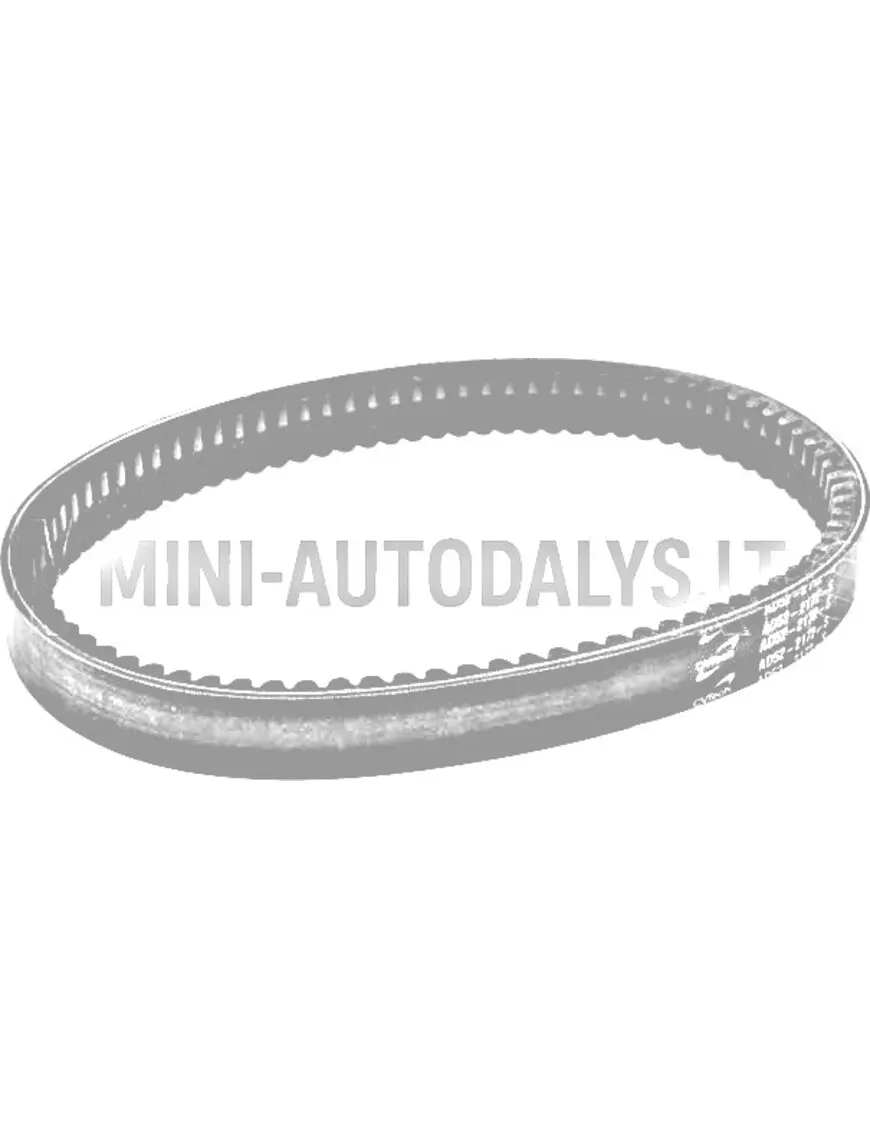 Pavaros siksna Aixam 3ARP023 AD52-2172-S