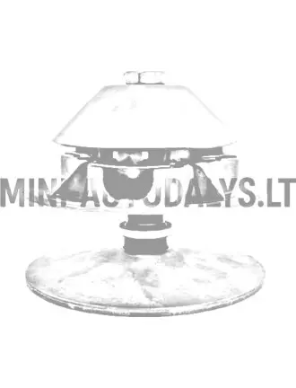 Vario sajūga dzinēja puse Aixam