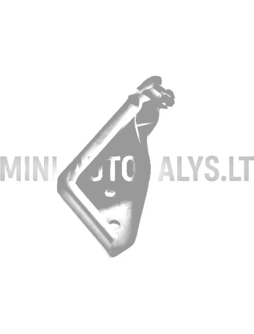 Motora pārsega eņģe priekšējā labā Aixam Vision / Sensation / D-Truck