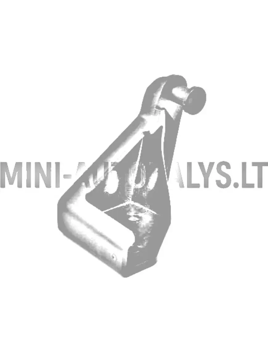 Aixam Emotion / Ambition priekšējā labā dzinēja pārsega eņģe