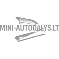 Ligier JS50 / JS50L Ph2 / Ph3 priekšējā labā dzinēja pārsega eņģe