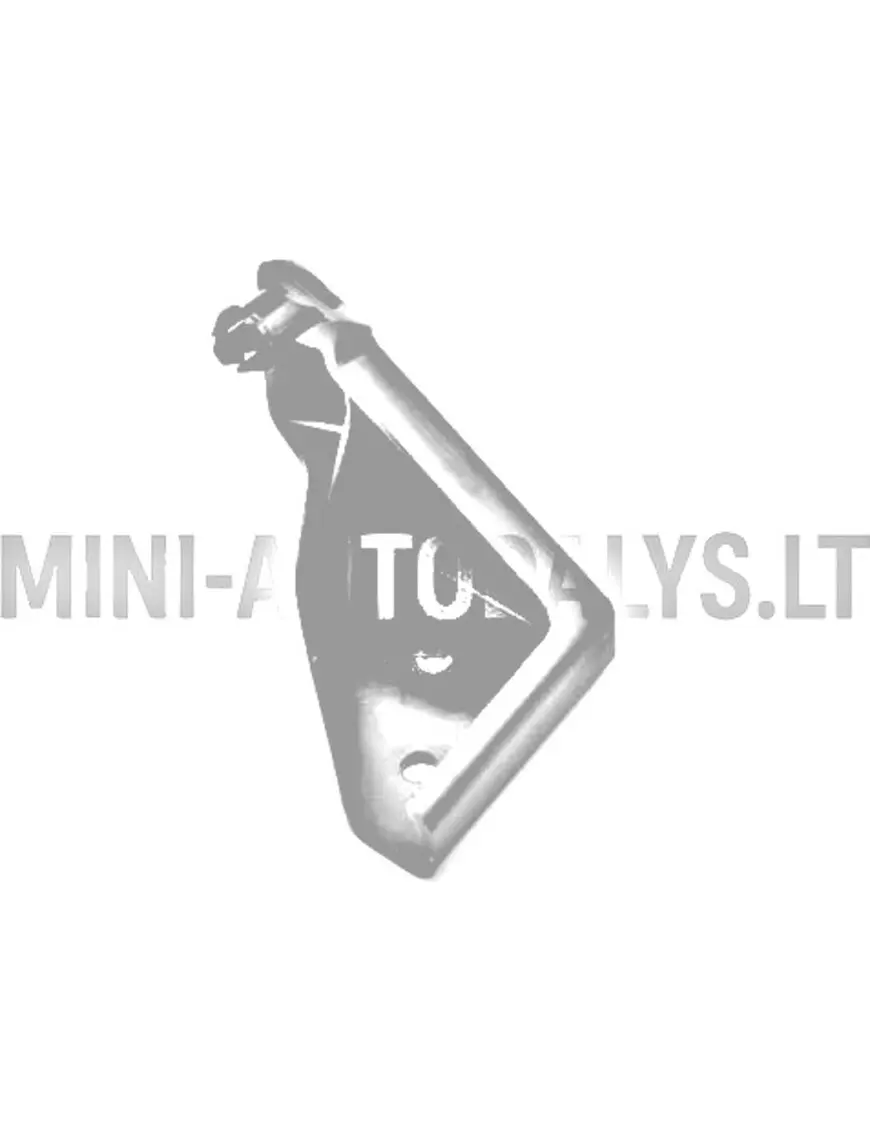 Aixam Vision / Sensation / D-Truck kreisās puses priekšējā pārsega eņģe