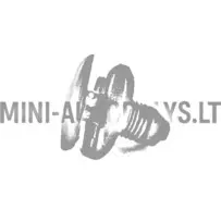 Plastmasas stiprinājuma kniedes Ligier / Microcar / Aixam