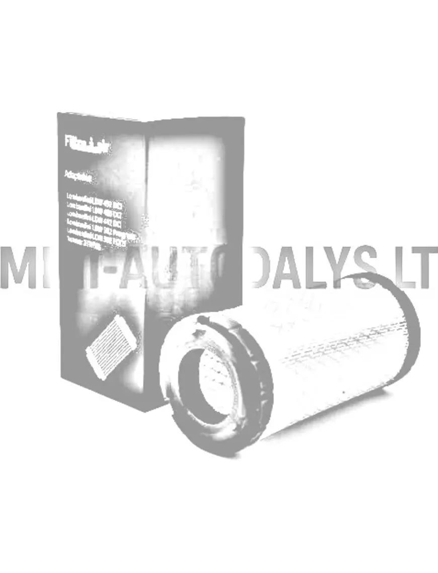 Gaisa filtrs Lombardini / Yanmar