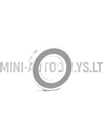 Aizmugurējā riteņa gultnis 6005