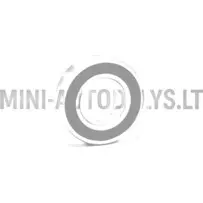 Aizmugurējā riteņa gultnis 6005