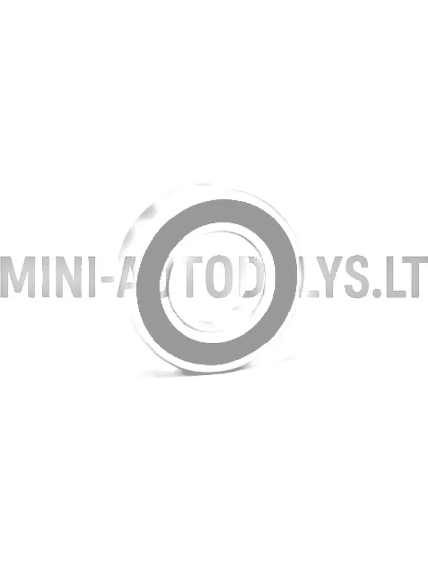 Aizmugurējā riteņa gultnis 6005