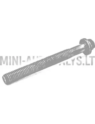 Cilindra galvas skrūve Lombardini 502 Progress / FOCS