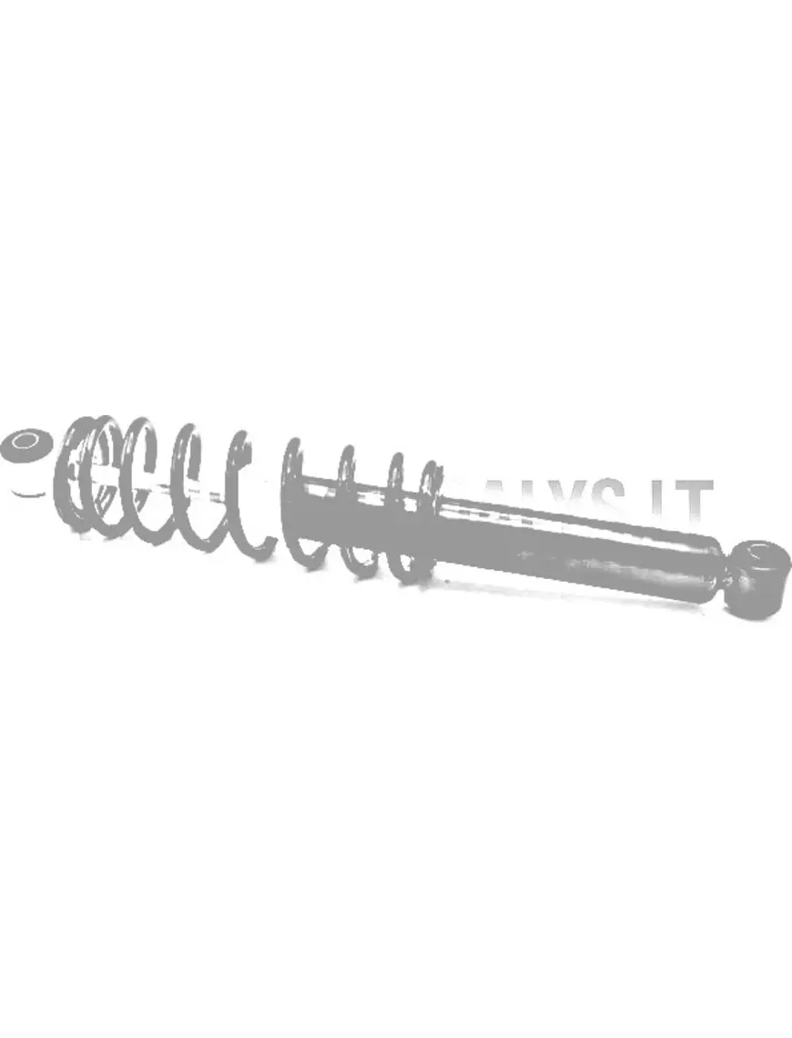 Aizmugurējais amortizators Microcar / Ligier #15431 | Mini Auto Parts