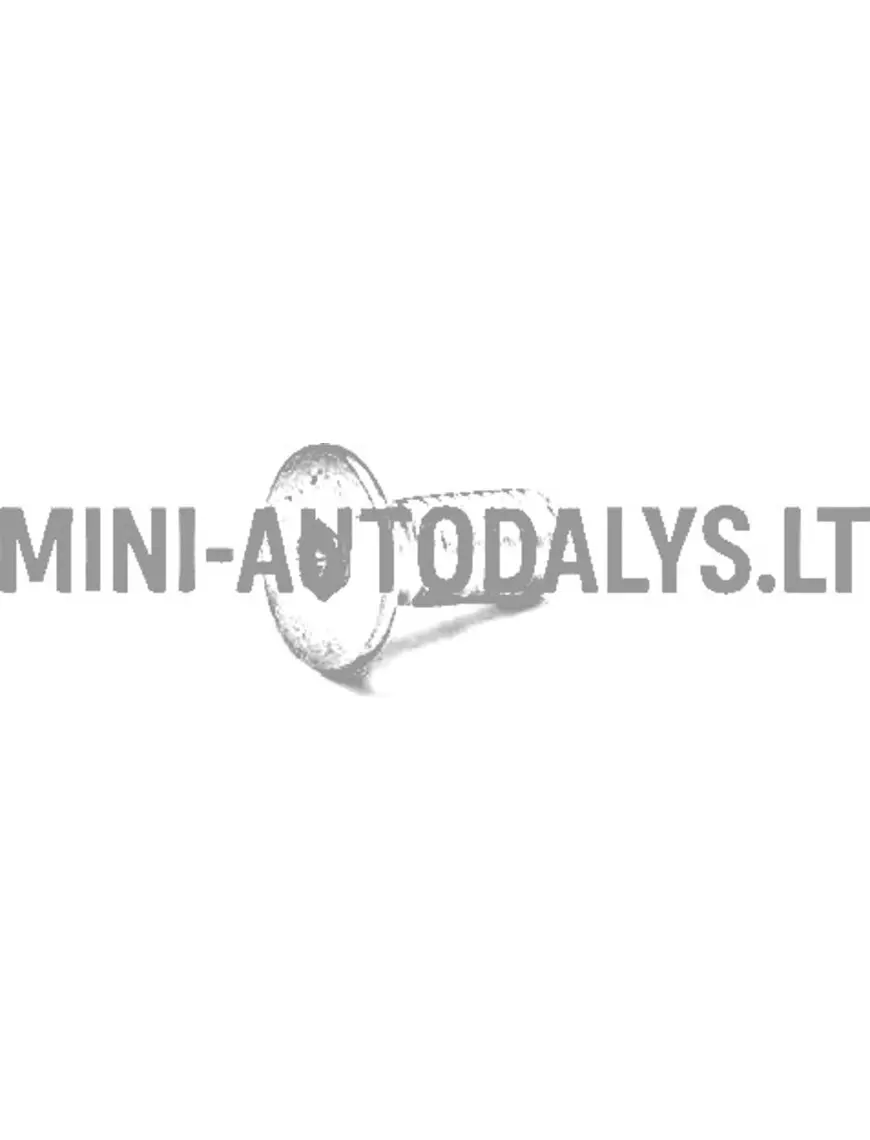 Riteņa rumbas stiprinājuma skrūve - bremžu disks Aixam / Grecav