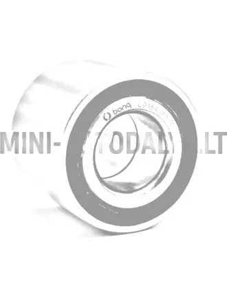 Aizmugurējā riteņa gultnis Ligier / Microcar / Chatenet