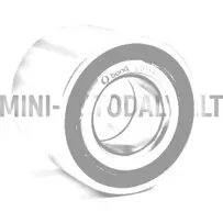 Aizmugurējā riteņa gultnis Ligier / Microcar / Chatenet