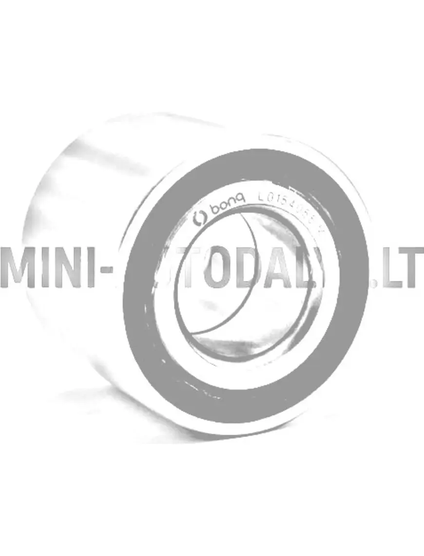 Aizmugurējā riteņa gultnis Ligier / Microcar / Chatenet