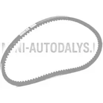 Ķīļsiksna Lombardini 442 / 480 / 492 DCI (10x665 mm)