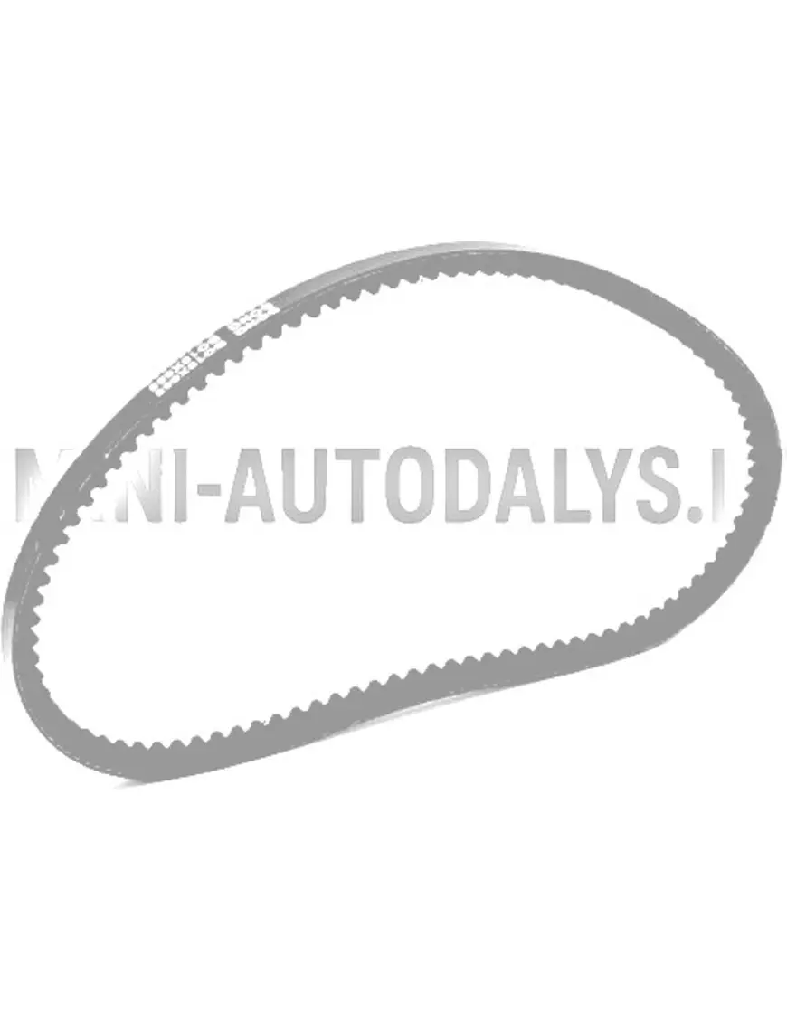 Ķīļsiksna Lombardini 442 / 480 / 492 DCI (10x665 mm)