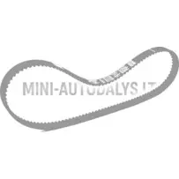 Laika sadales siksna Lombardini DCI (124 zobi)