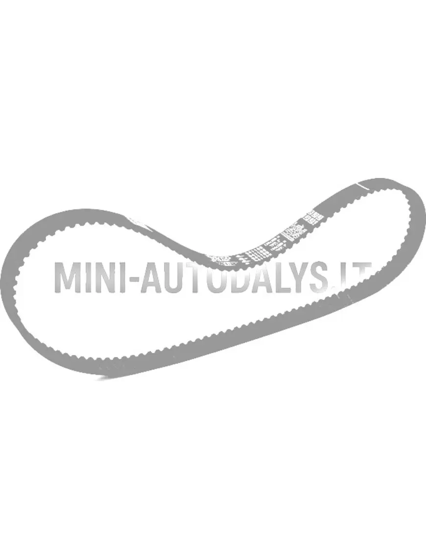 Laika sadales siksna Lombardini DCI (124 zobi)