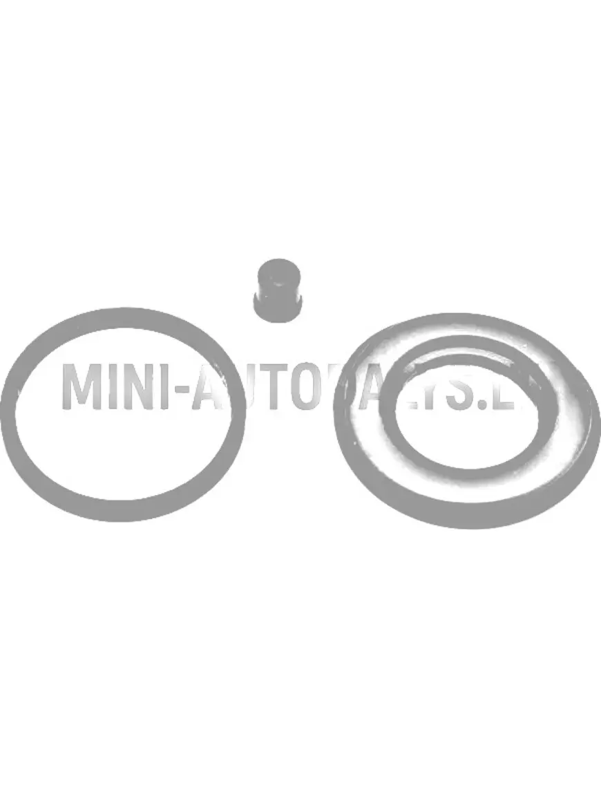 Bremžu cilindra / virzuļa putekļu pārsegs