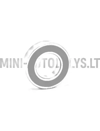 Aizmugurējā riteņa gultnis 6005 SKF