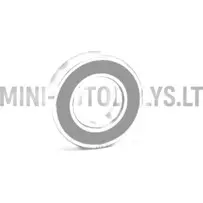 Aizmugurējā riteņa gultnis 6005 SKF