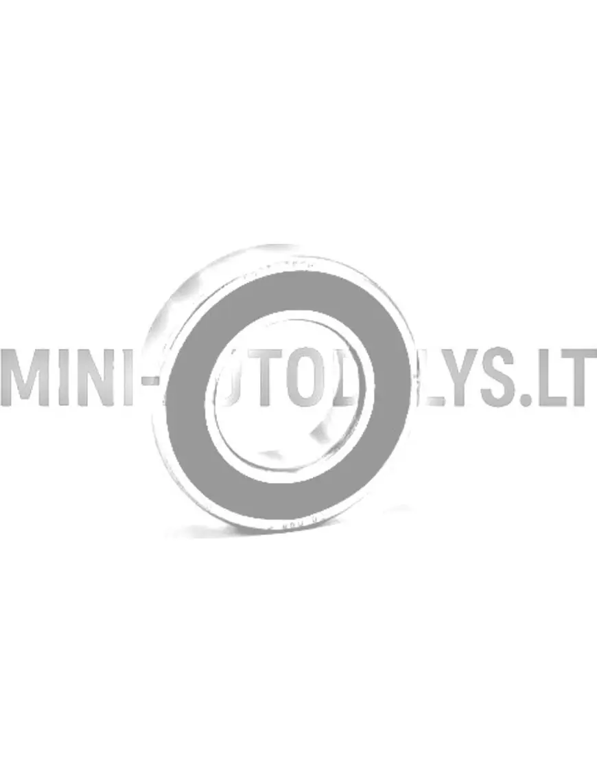 Aizmugurējā riteņa gultnis 6005 SKF