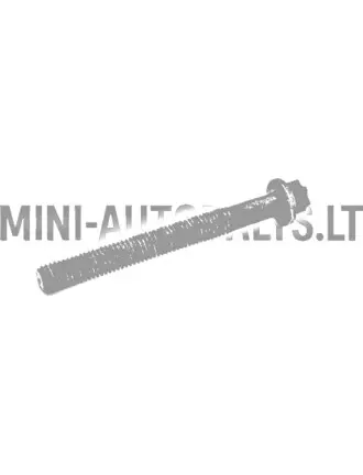 Cilindra galvas skrūve Lombardini 502 Progress / FOCS