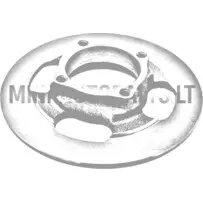 Priekšējais bremžu disks Microcar / JDM (Ø 210 mm)