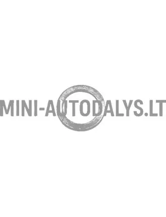 Inžektora vara gredzens Lombardini 502 FOCS / Progress (14mm)