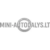 Inžektora vara gredzens Lombardini 502 FOCS / Progress (14mm)