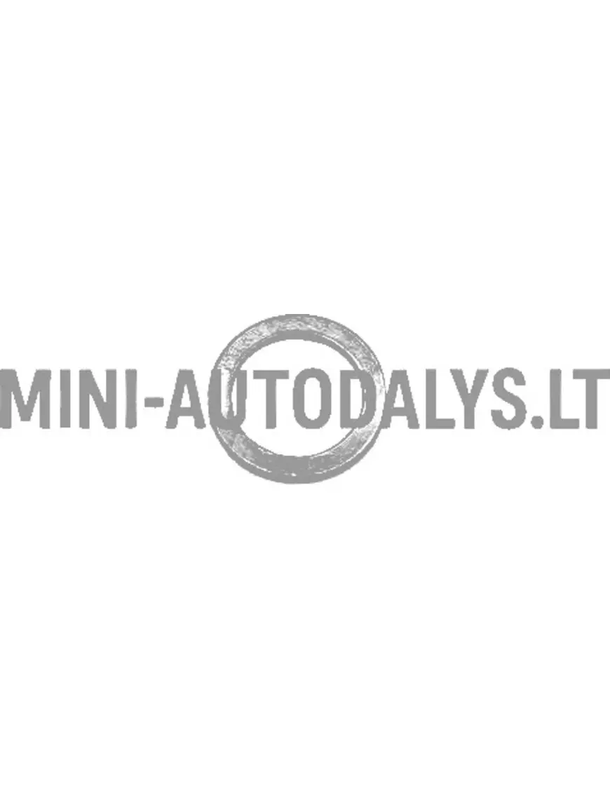 Inžektora vara gredzens Lombardini 502 FOCS / Progress (14mm)