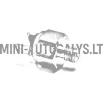 Bremžu gaismas slēdža galvenais cilindrs