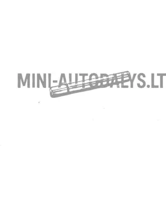 Bremžu suporta regulēšanas tapa (1 gab.)