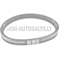 Pavaros siksna Aixam 042 Eco BD52-2179