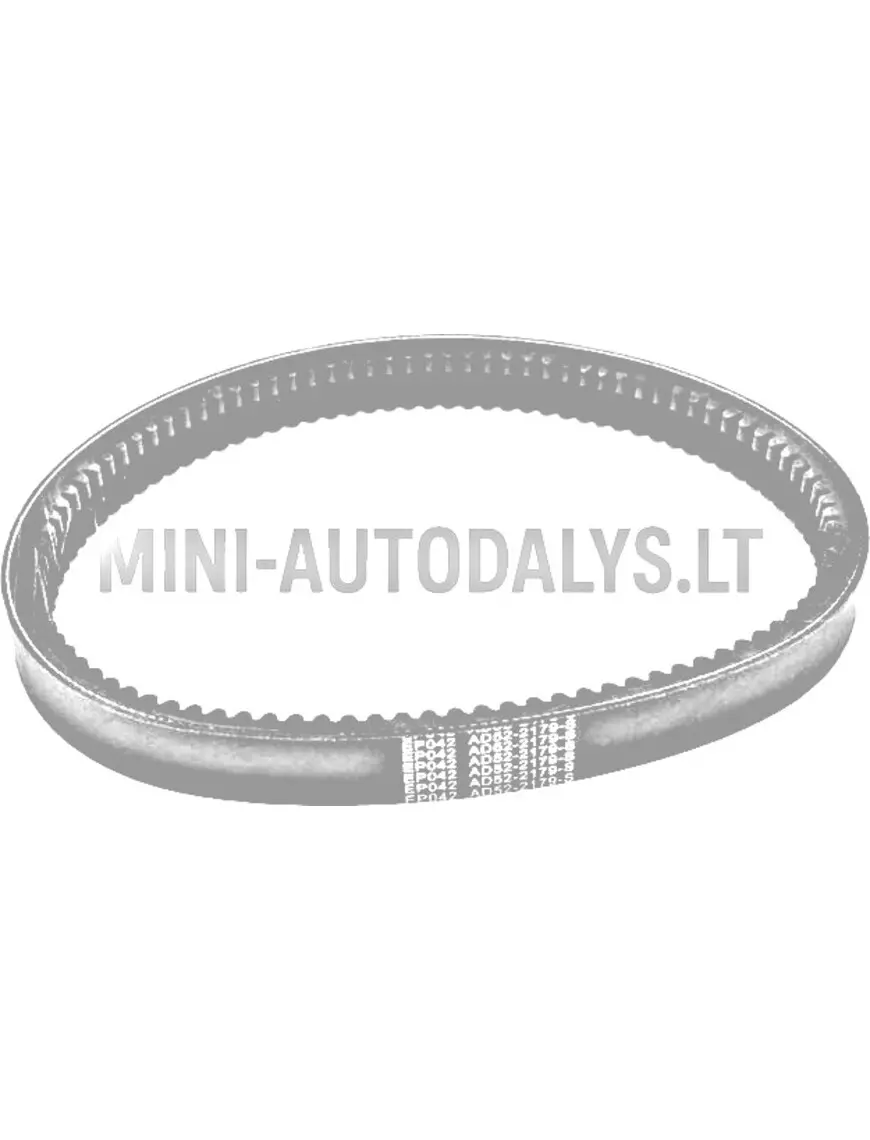 Pavaros siksna Aixam 042 Eco BD52-2179