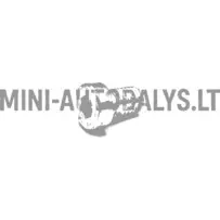 Microcar / Ligier / Chatenet / JDM priekšējā bremžu diska stiprinājuma skrūve